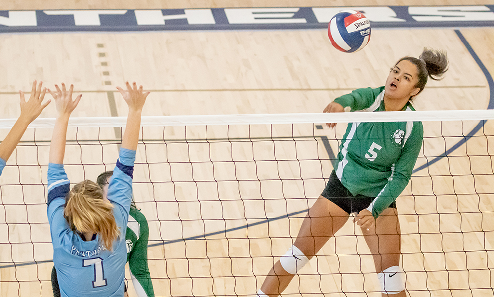 Canton Volleyball Prevails In Tight Contest With Franklin