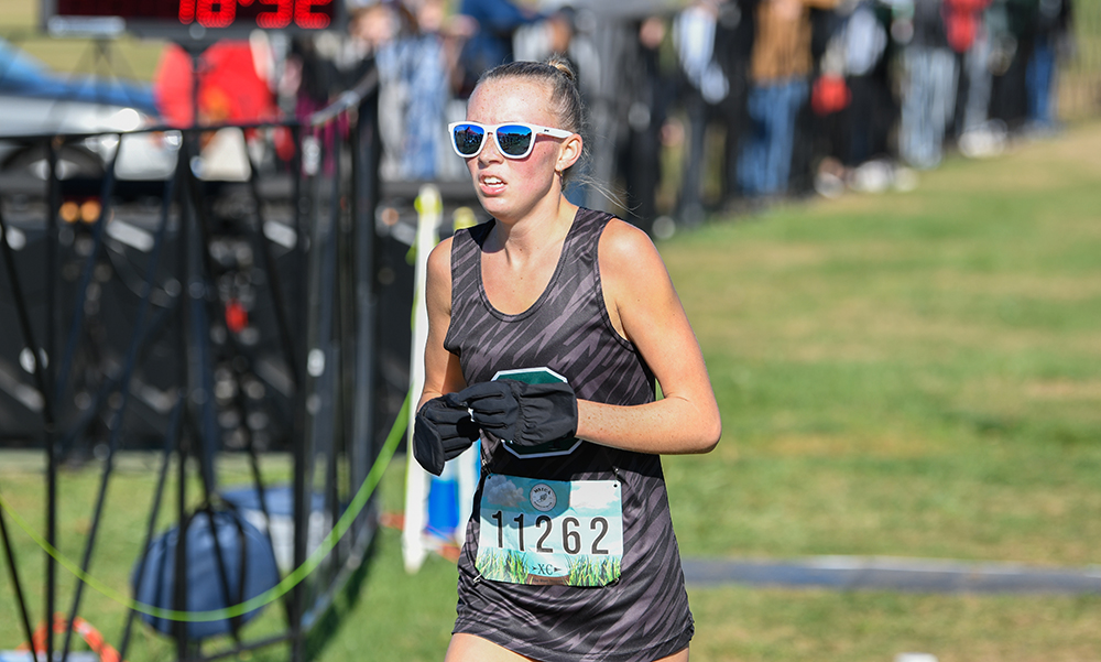 Hockomock Cross Country Championships