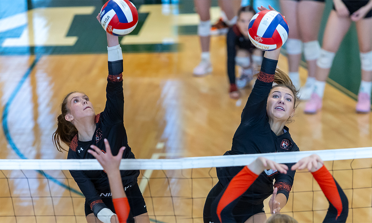 Taylor Donohue Chelsea Wagner