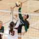 Canton volleyball at Sharon volleyball Austyn Wood