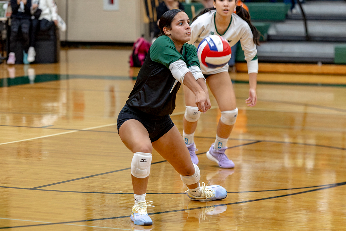 Canton volleyball vs. Oliver Ames volleyball Soley Rodriguez Martinez