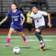 Stoughton boys soccer at Franklin boys soccer